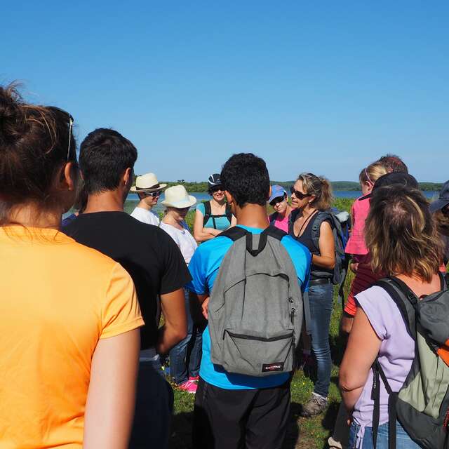 Promenade nature au lac d'Aureilhan