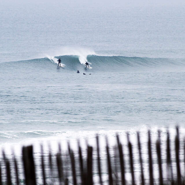 Maya Surf School