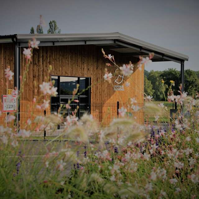Vignobles de Pyrénaïa