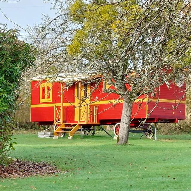 Chambre d'hôtes insolite : Roulotte