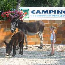 Aire naturelle de camping Le Bonheur est dans le Pré