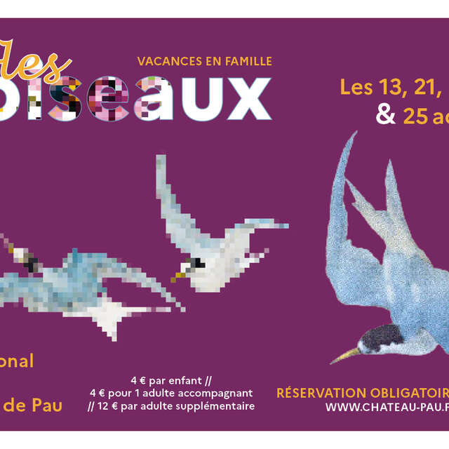 Drôles d'oiseaux