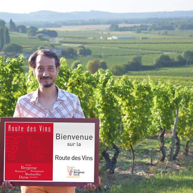 Château Court les Mûts