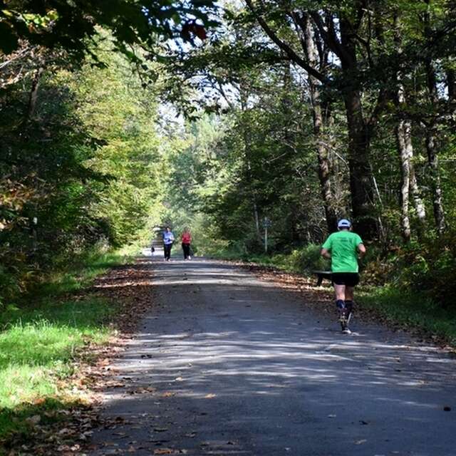 Balade à Roulettes n°38 : La forêt de Bastard à Pau