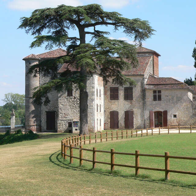 Base municipale de Rogé