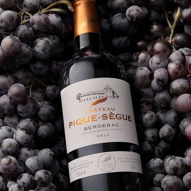 Château Pique-Sègue