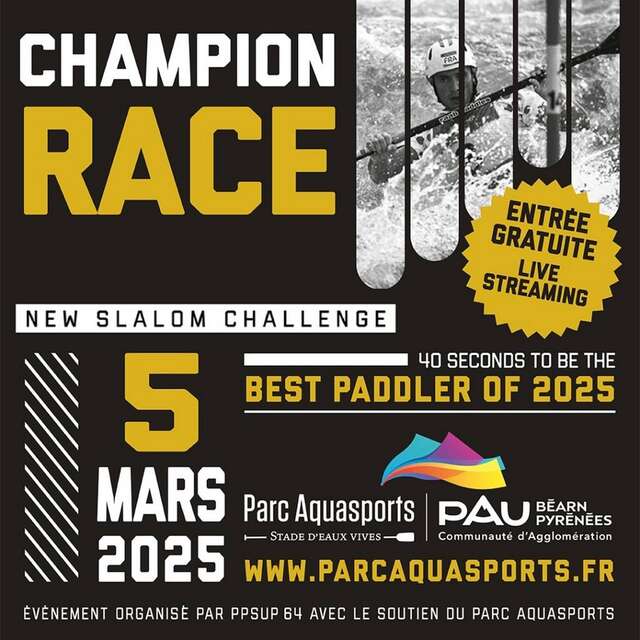 Champion race - New slalom challenge