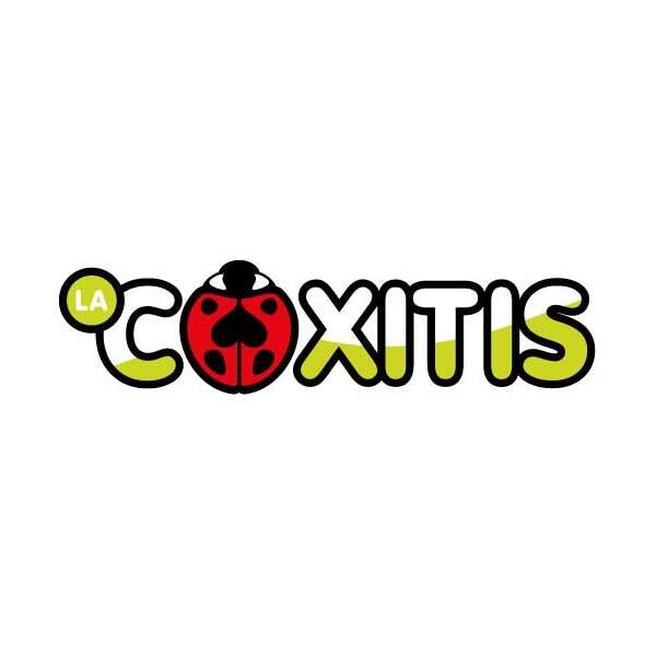 Coxitis - la navette gratuite du centre-ville de Pau