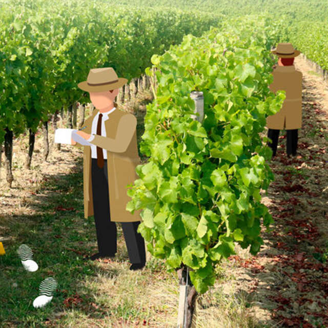 Cluedo géant dans les vignes | Château du Haut Pezaud