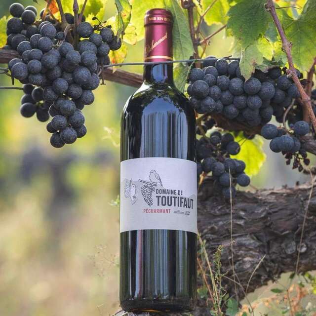 Domaine de Toutifaut