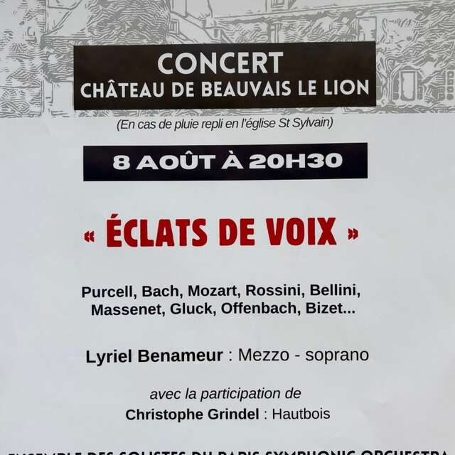 Concert en plein air « Eclats de Voix »