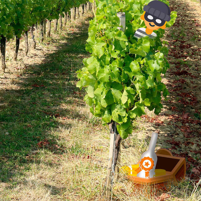 Escape game dans les vignes | Château du Haut Pezaud