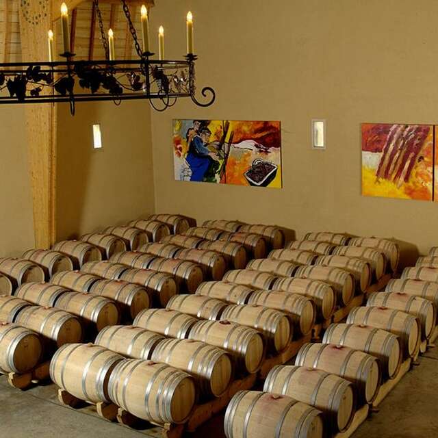 Clos l'Envège - SAS Julien de Savignac