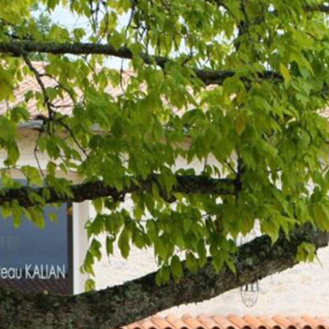 Château Kalian | Jeux & dégustation