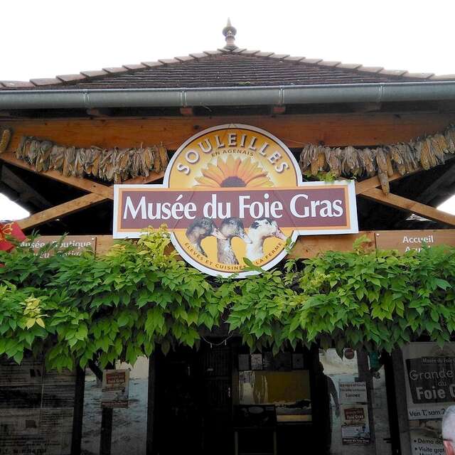 Ferme de Souleilles - Musée du foie gras