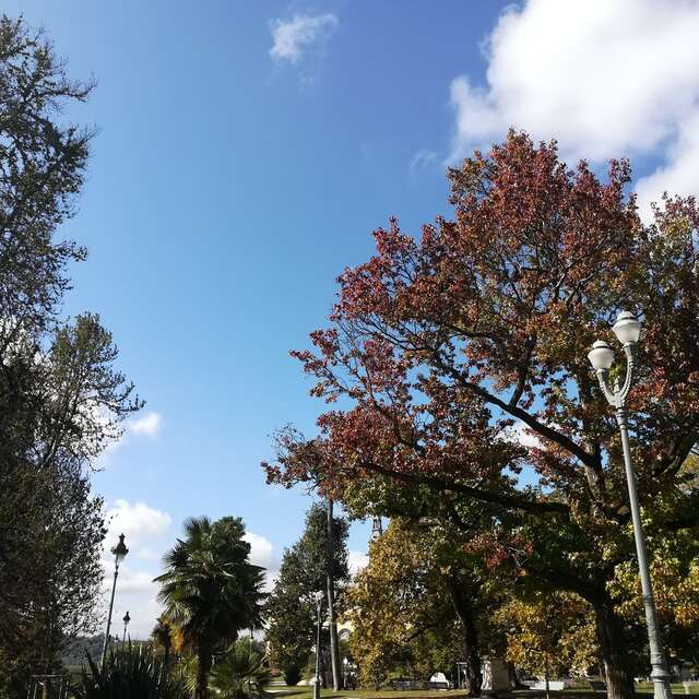 Balade à roulettes N°24 - Promenade au parc Beaumont à Pau