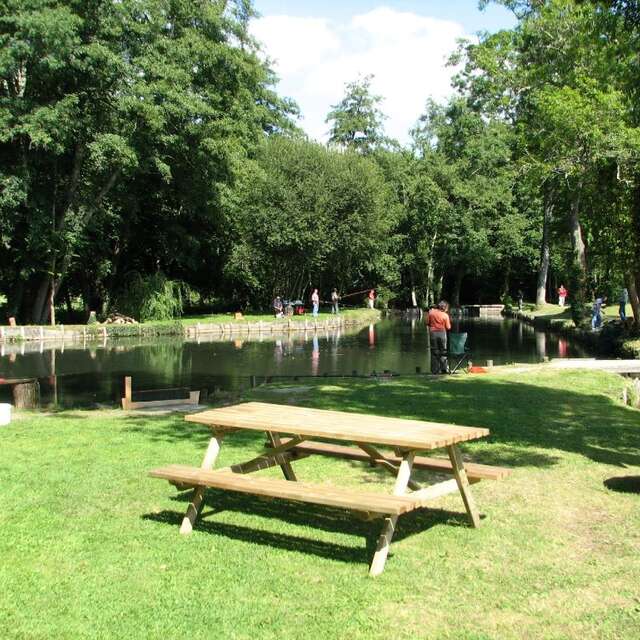 Pêche en étang moulin de Boissonnie