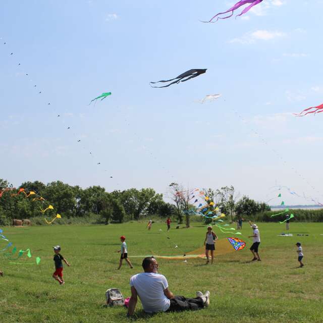 Fête du Vent à Terres d'Oiseaux
