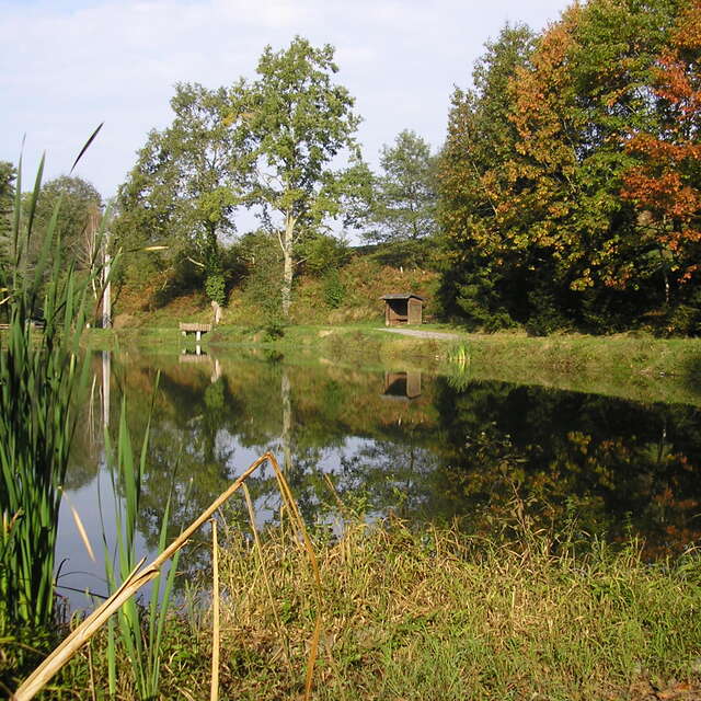 Balade à Roulettes n°10 : le lac Ducrest à Arudy