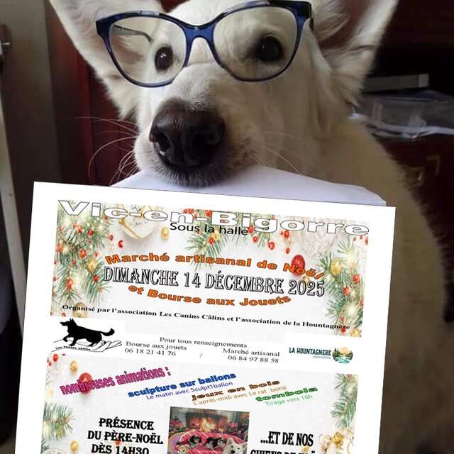 Marché de Noël et bourse aux jouets