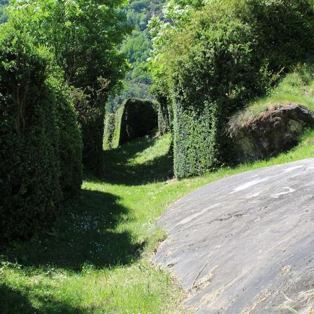 LE CHEMIN DES BUIS
