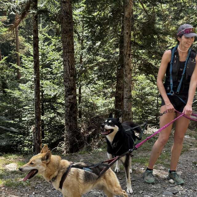 LA FILLE AUX LOUPS