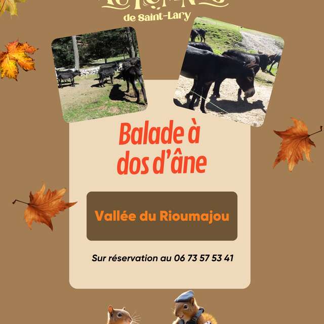 Balade à dos d'ânes au Rioumajou
