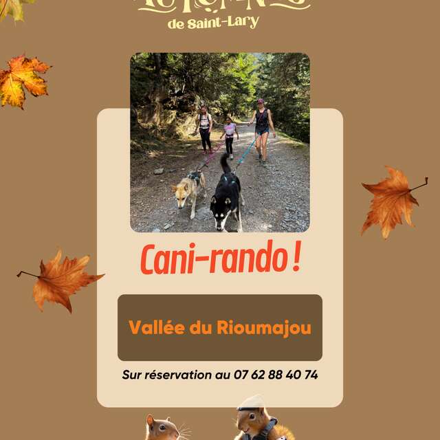 Cani rando avec "La fille aux loups"