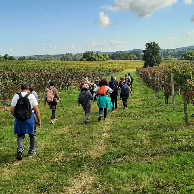 Journée détente - Randonnées