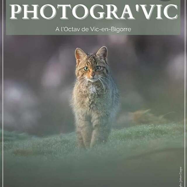Festival Photogra'Vic