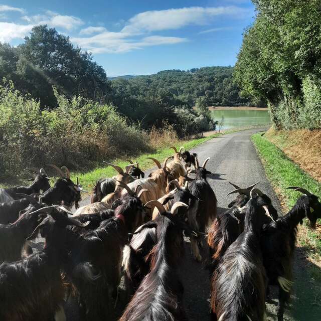 FERME MANESTIN
