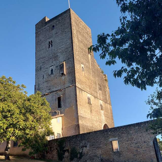 TOUR DE TERMES