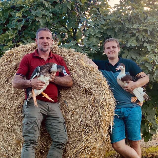 FERME LABENELLE