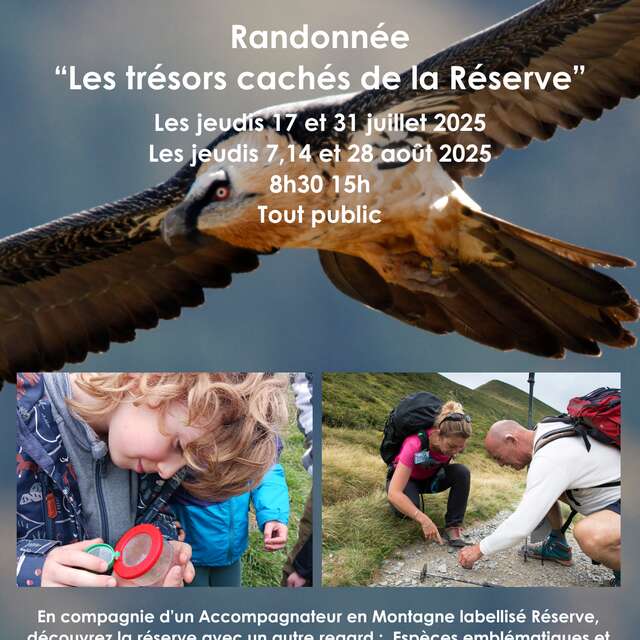Randonnée accompagnée : Les trésors cachés de la Réserve
