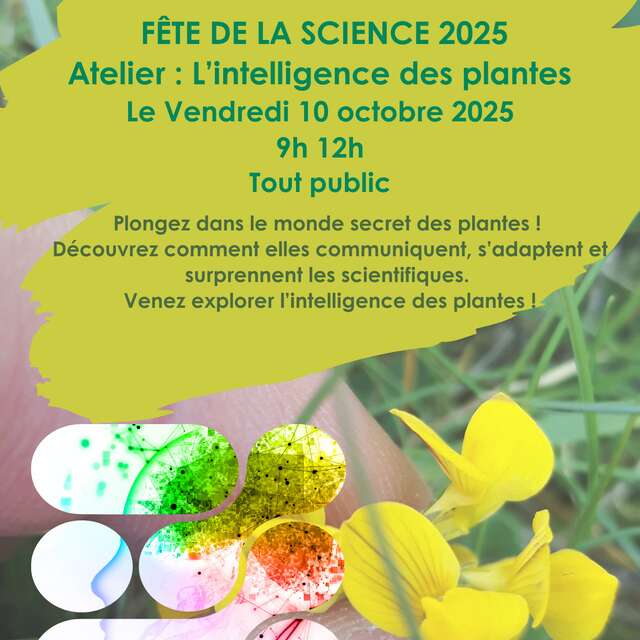 Fête de la Science, atelier : l'intelligence des plantes