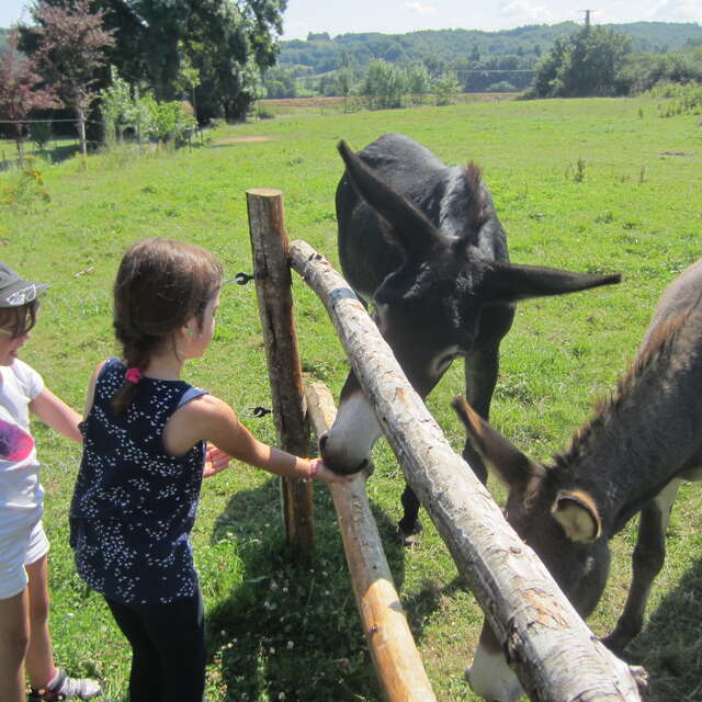 FERME PÉDAGOGIQUE DE L'AOUEILLE