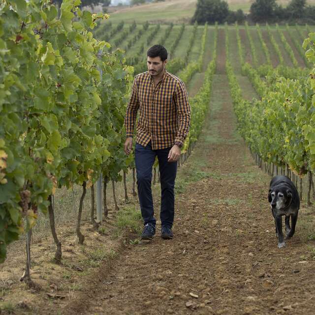 Vineart en Gascogne au Château du Pouey