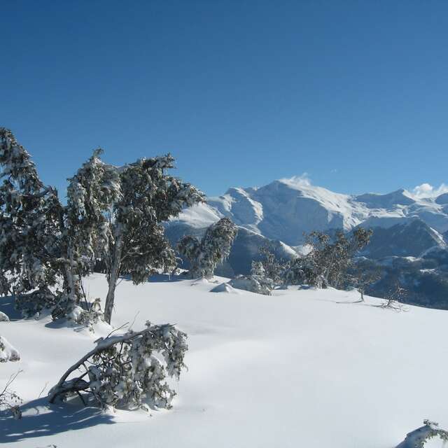 BUREAU MONTAGNE DES VALLEES DE GAVARNIE