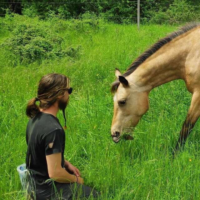 LA HALTE D'ARTAGNAN - BALADE A CHEVAL ET PONEY