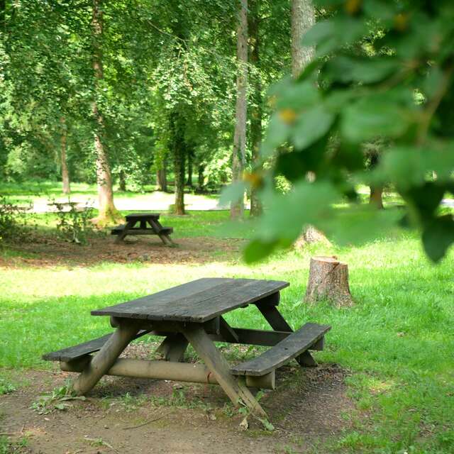 BOIS DE LOURDES OU FORET DE SUBERCARRERE