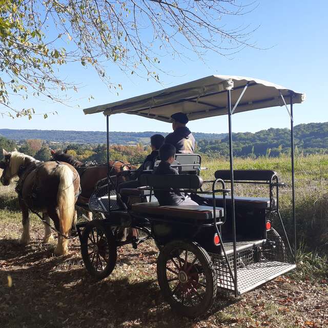 LA FERME AU BÈTH LÒC