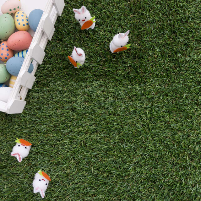 Chasse aux oeufs de Pâques