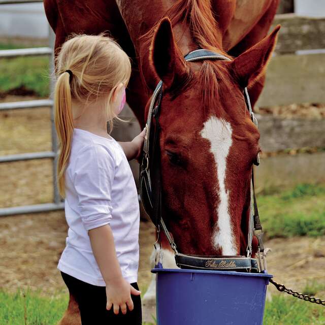Baptêmes a poneys autour du lac