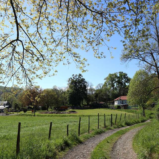 LE CHEMIN VERT