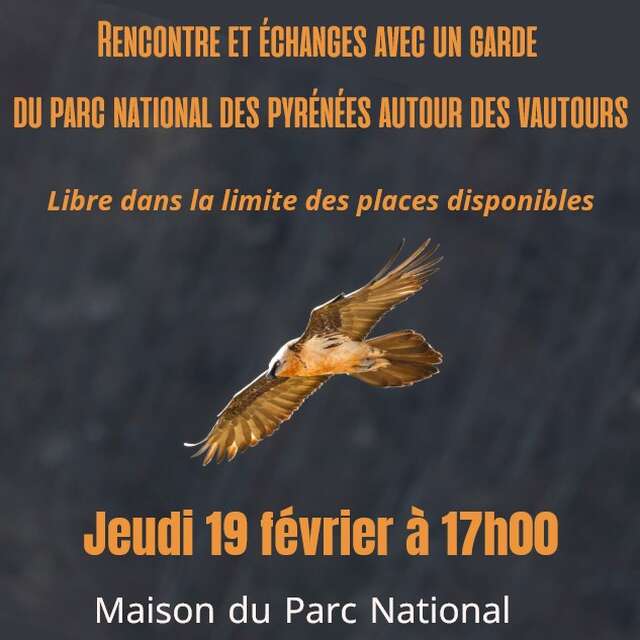 CONFERENCE AUTOUR DES VAUTOURS