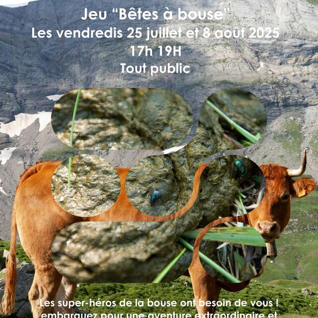 Jeu "bête à bouse !
