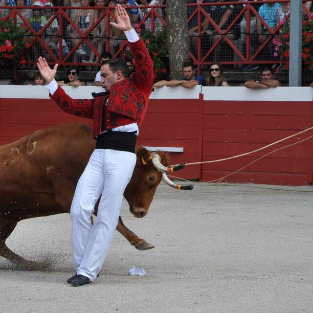 Course landaise