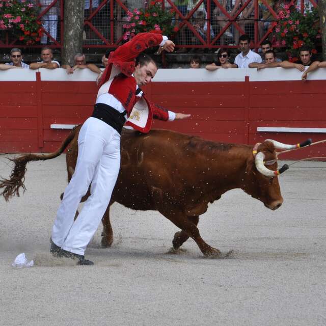 Course landaise