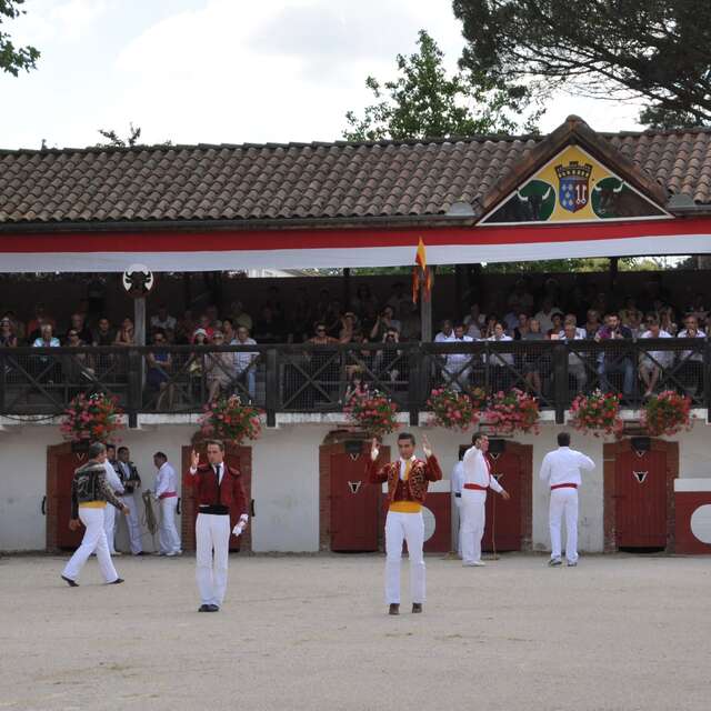 Découverte de la course landaise et des arènes