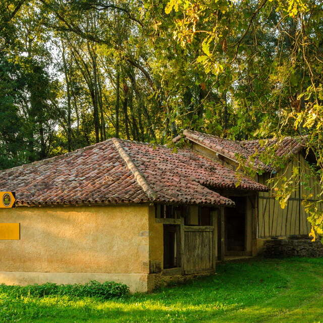 Balade nature